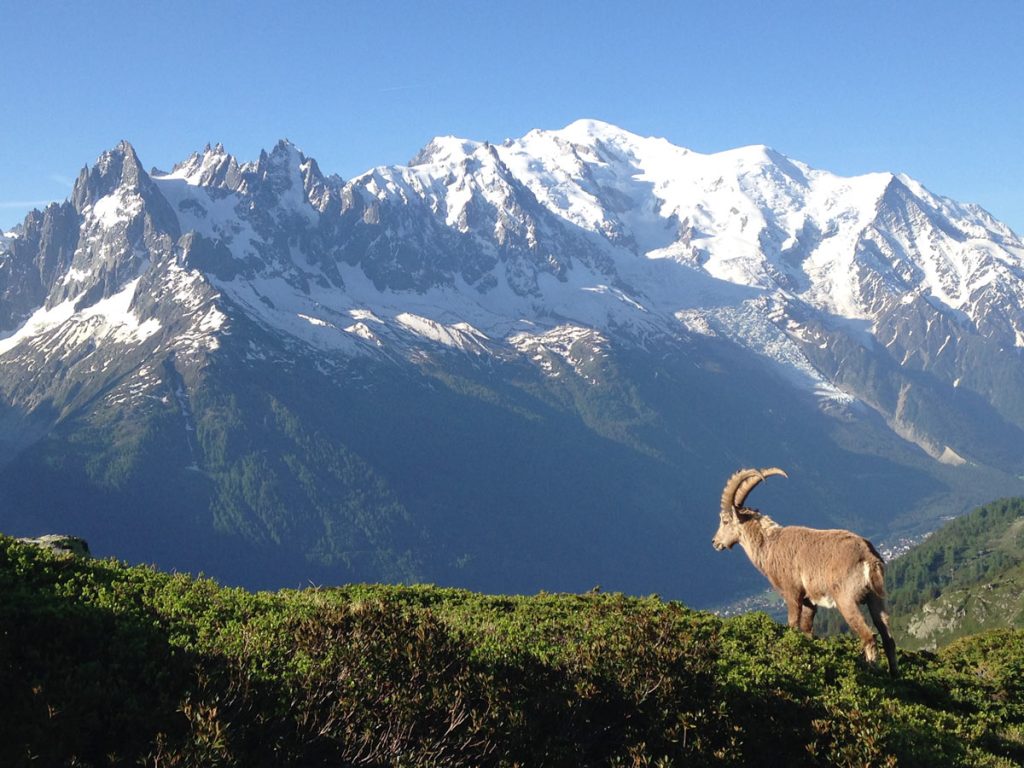 Nouveau partenariat entre VILLA ENJOY et INSTINC MONTAGNE pour un accompagnement montagne exclusif !